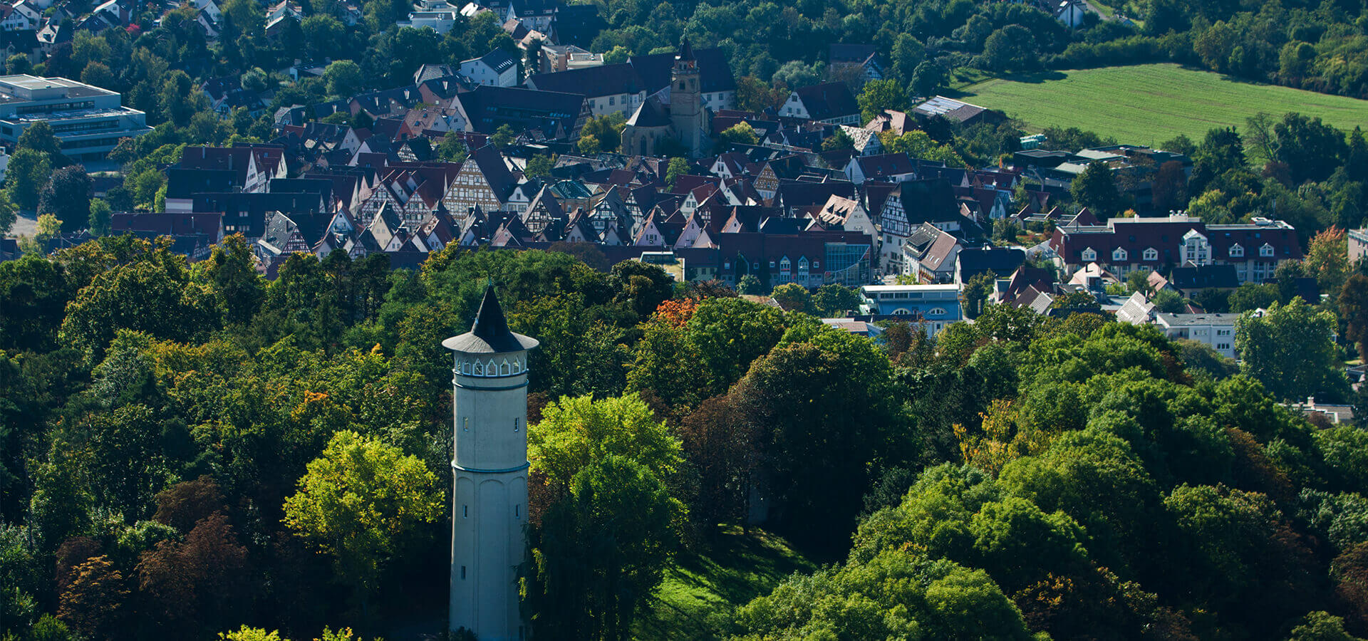 leonberg